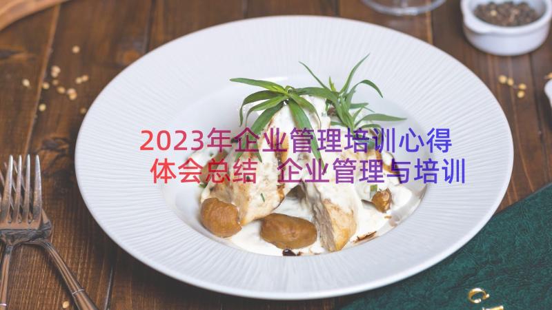 2023年企业管理培训心得体会总结 企业管理与培训心得体会(优质18篇)