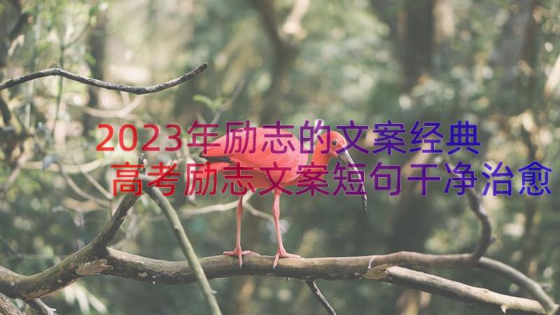 2023年励志的文案经典 高考励志文案短句干净治愈(模板8篇)