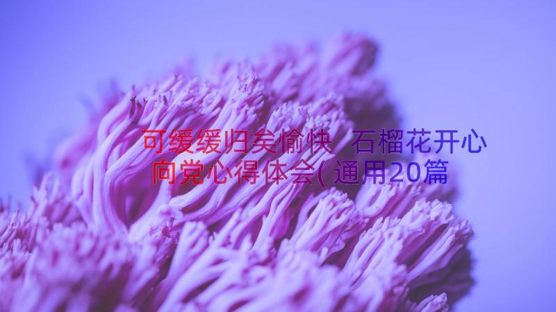 可缓缓归矣愉快 石榴花开心向党心得体会(通用20篇)