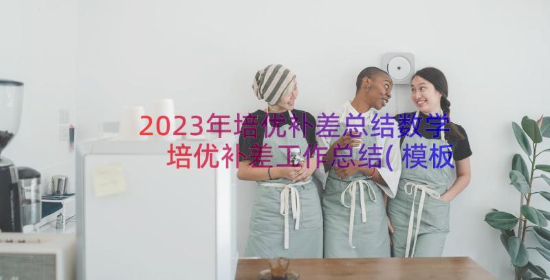 2023年培优补差总结数学 培优补差工作总结(模板8篇)