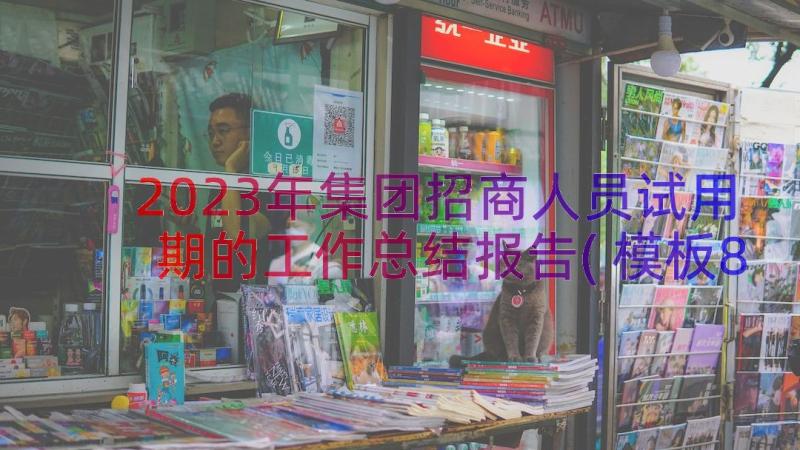 2023年集团招商人员试用期的工作总结报告(模板8篇)