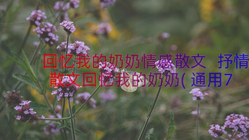 回忆我的奶奶情感散文 抒情散文回忆我的奶奶(通用7篇)