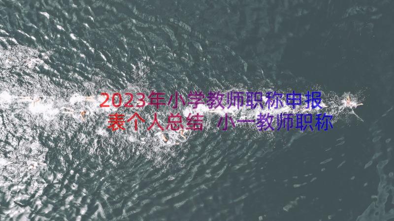 2023年小学教师职称申报表个人总结 小一教师职称申报总结(大全17篇)