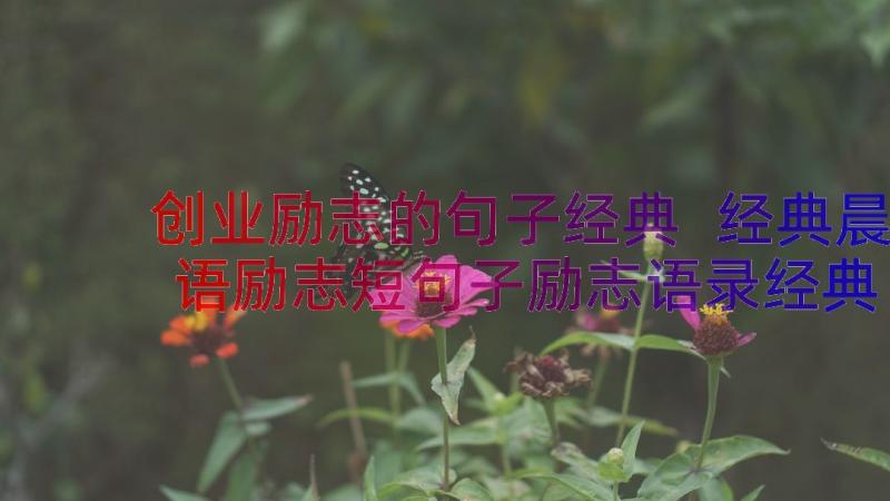 创业励志的句子经典 经典晨语励志短句子励志语录经典短句(优质13篇)