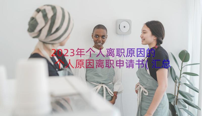 2023年个人离职原因的 个人原因离职申请书(汇总12篇)