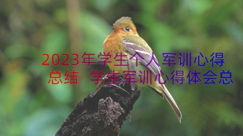 2023年学生个人军训心得总结 学生军训心得体会总结(精选16篇)