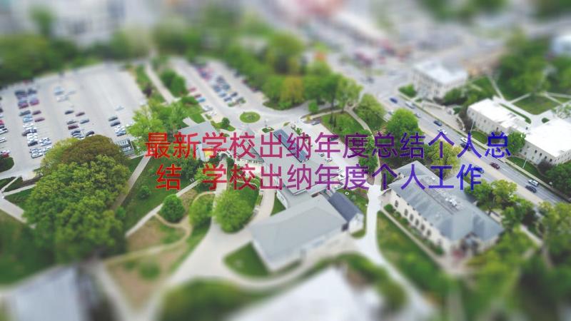 最新学校出纳年度总结个人总结 学校出纳年度个人工作总结(通用19篇)