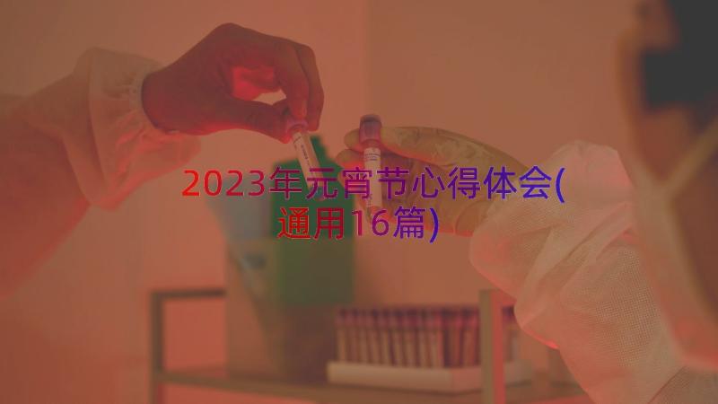 2023年元宵节心得体会(通用16篇)