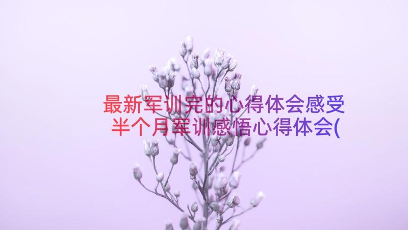 最新军训完的心得体会感受 半个月军训感悟心得体会(汇总8篇)