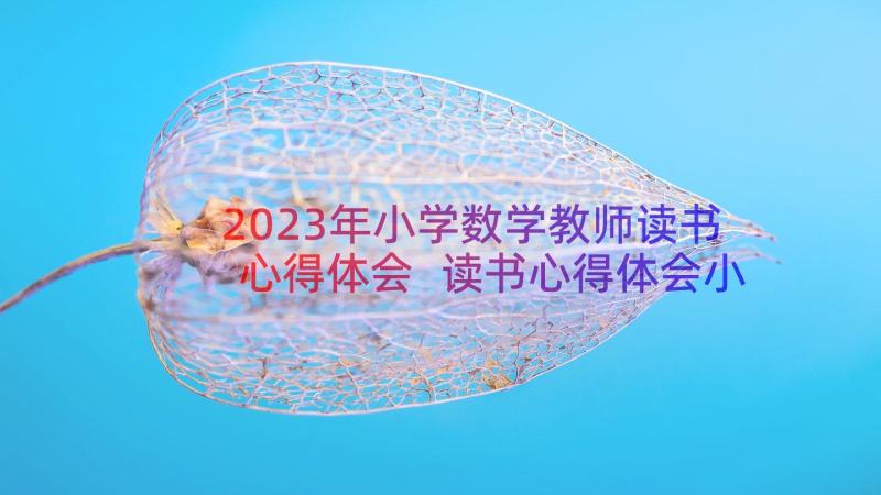 2023年小学数学教师读书心得体会 读书心得体会小学数学(实用11篇)