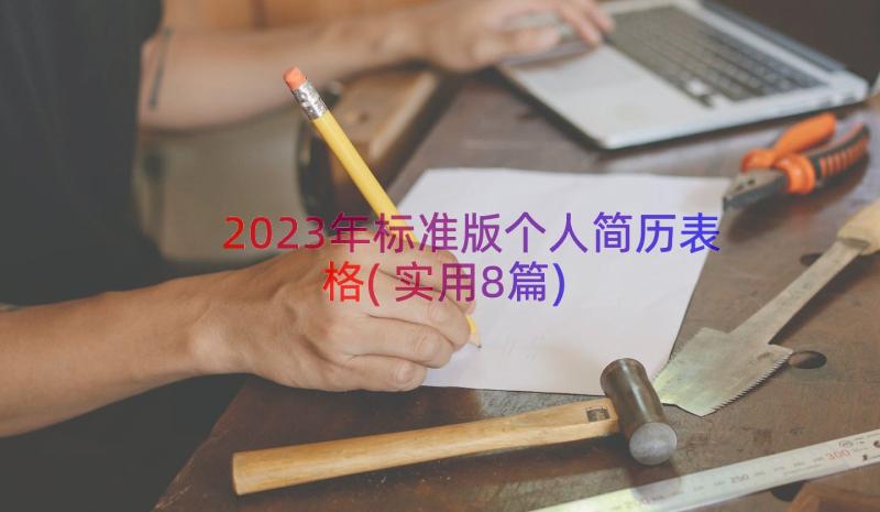 2023年标准版个人简历表格(实用8篇)