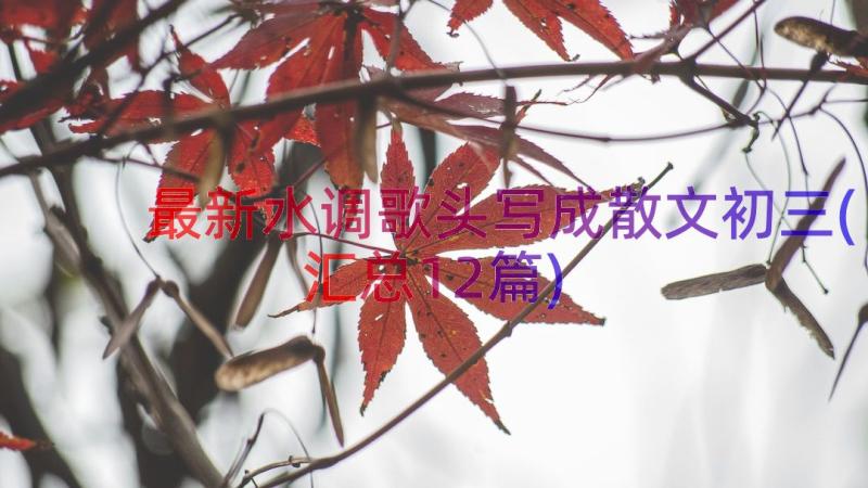 最新水调歌头写成散文初三(汇总12篇)