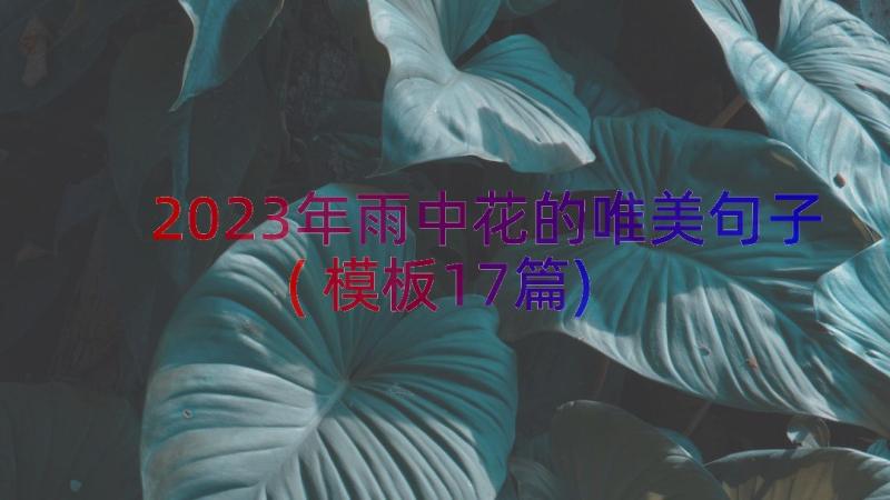 2023年雨中花的唯美句子(模板17篇)