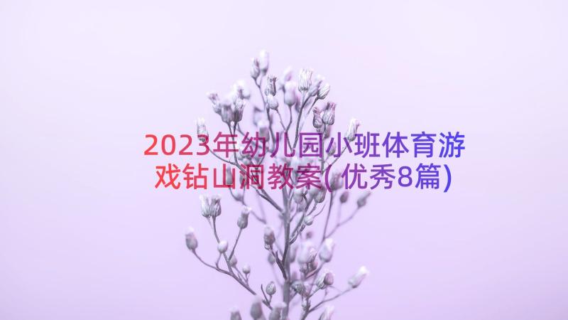 2023年幼儿园小班体育游戏钻山洞教案(优秀8篇)