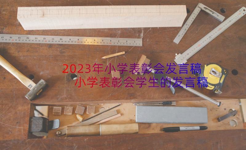 2023年小学表彰会发言稿 小学表彰会学生的发言稿(大全8篇)