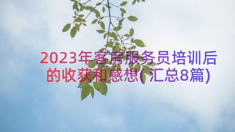 2023年客房服务员培训后的收获和感想(汇总8篇)