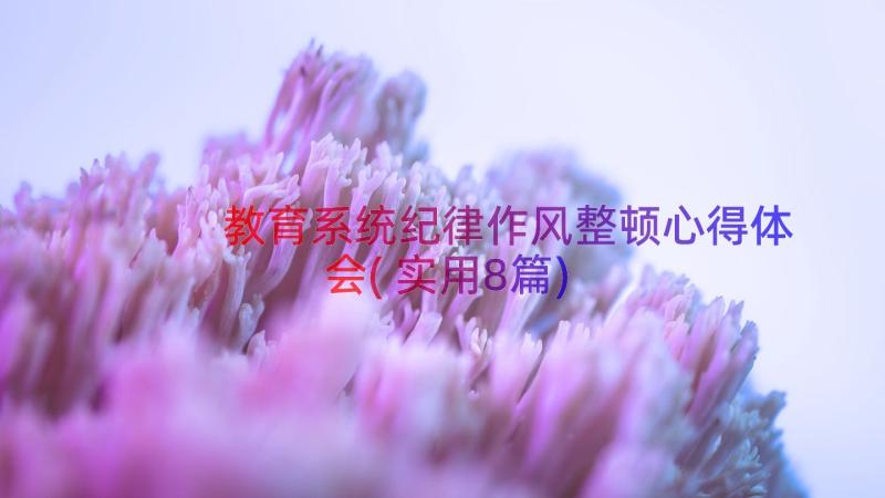 教育系统纪律作风整顿心得体会(实用8篇)