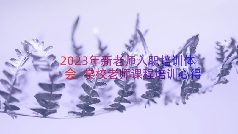 2023年新老师入职培训体会 学校老师课程培训心得体会(模板8篇)