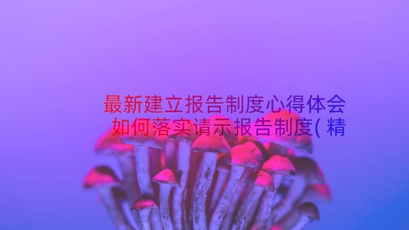 最新建立报告制度心得体会 如何落实请示报告制度(精选16篇)