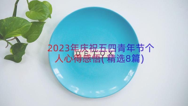 2023年庆祝五四青年节个人心得感悟(精选8篇)