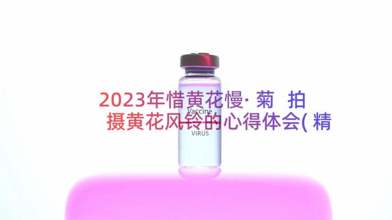 2023年惜黄花慢·菊 拍摄黄花风铃的心得体会(精选9篇)