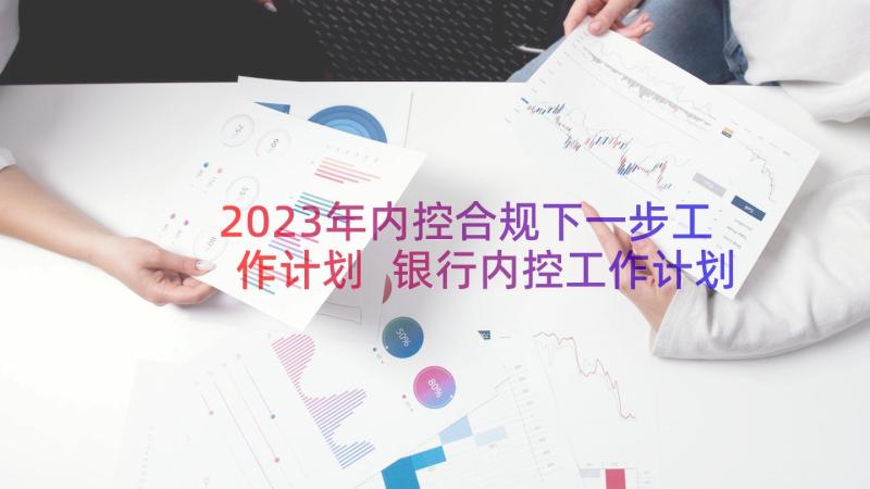 2023年内控合规下一步工作计划 银行内控工作计划(汇总16篇)