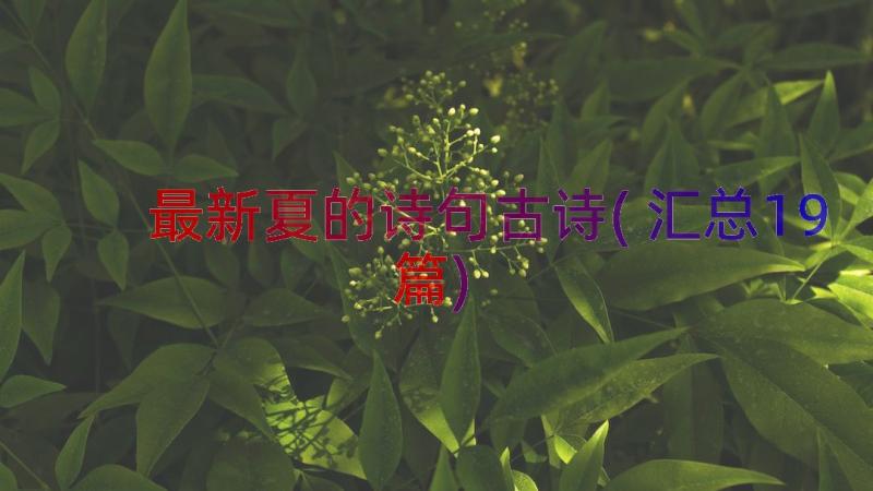 最新夏的诗句古诗(汇总19篇)