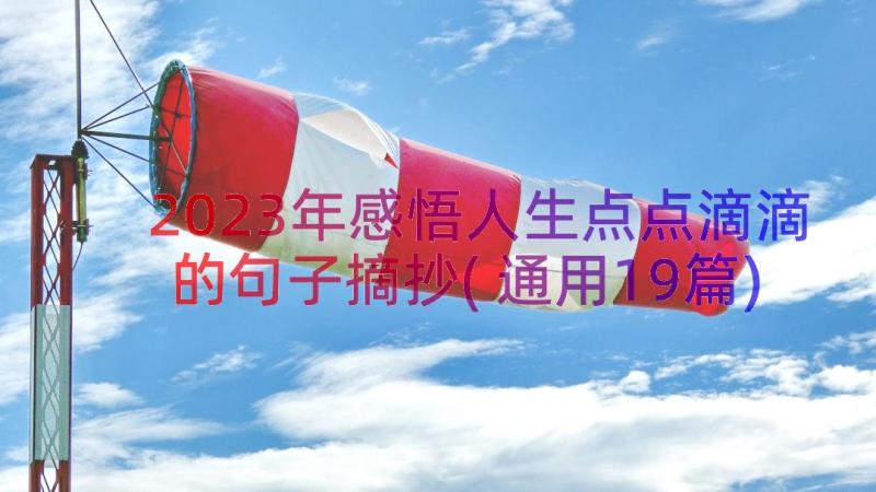 2023年感悟人生点点滴滴的句子摘抄(通用19篇)