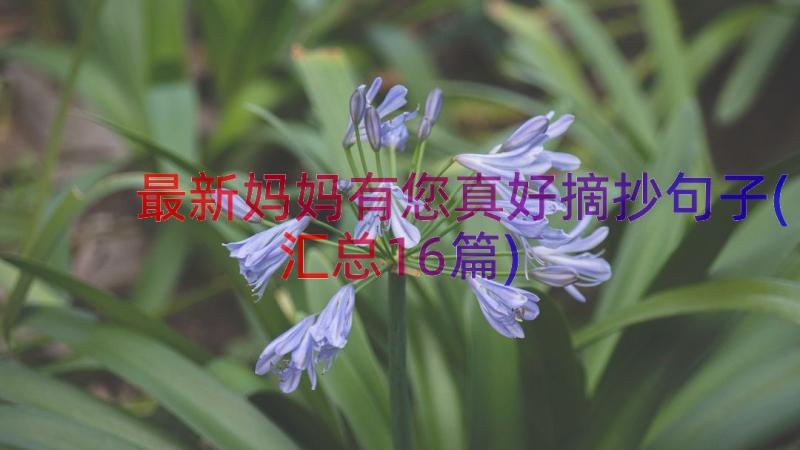 最新妈妈有您真好摘抄句子(汇总16篇)