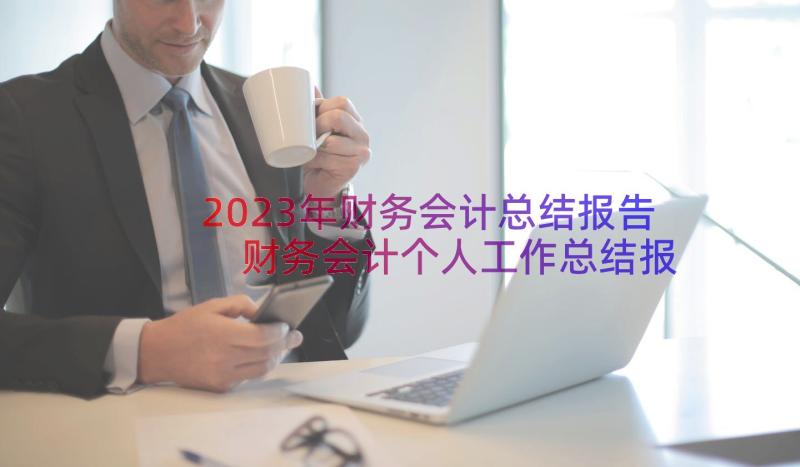 2023年财务会计总结报告 财务会计个人工作总结报告(通用8篇)