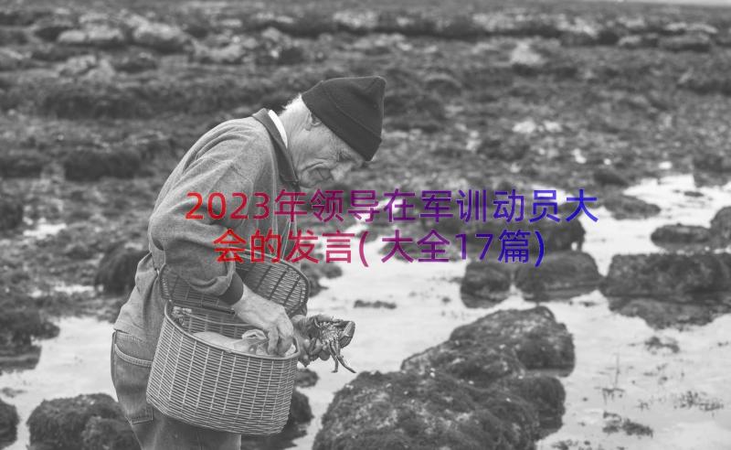 2023年领导在军训动员大会的发言(大全17篇)