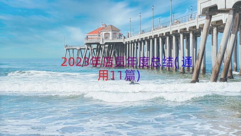 2023年店员年度总结(通用11篇)