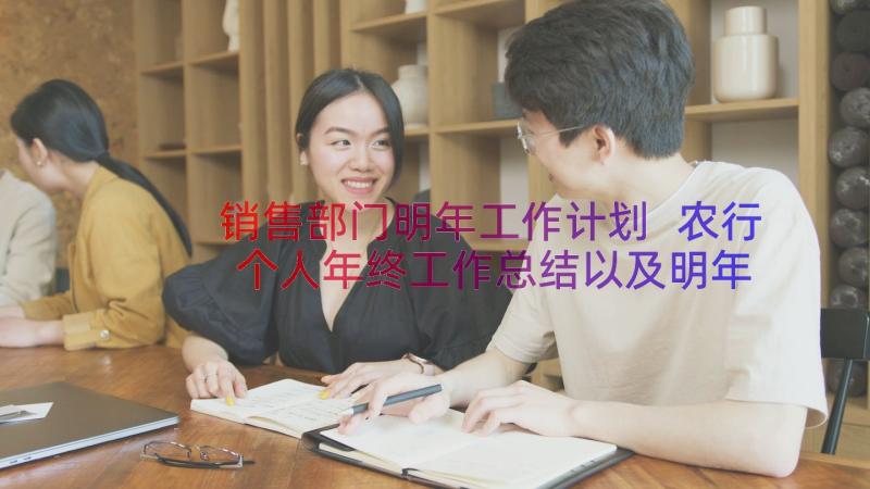 销售部门明年工作计划 农行个人年终工作总结以及明年计划(优质19篇)