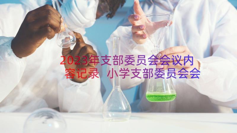 2023年支部委员会会议内容记录 小学支部委员会会议记录(模板8篇)