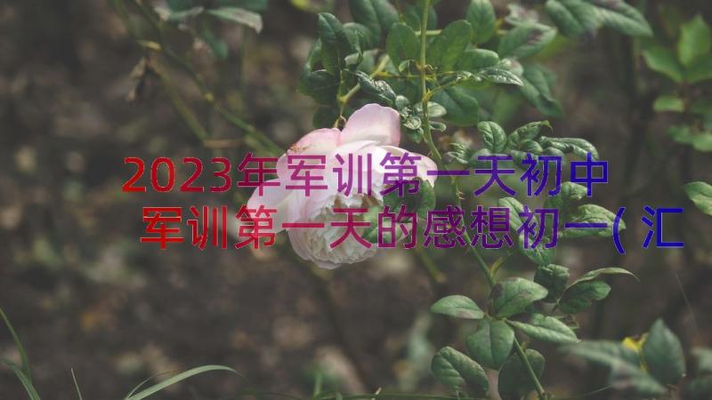 2023年军训第一天初中 军训第一天的感想初一(汇总8篇)