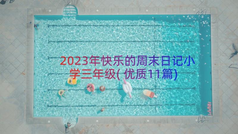 2023年快乐的周末日记小学三年级(优质11篇)