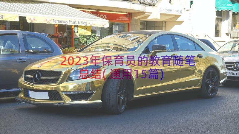 2023年保育员的教育随笔总结(通用15篇)