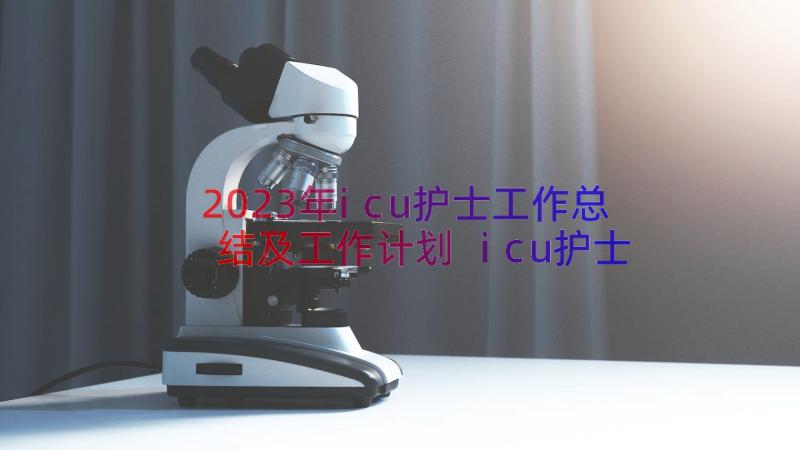 2023年icu护士工作总结及工作计划 icu护士工作总结(通用9篇)