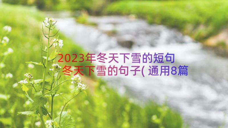 2023年冬天下雪的短句 冬天下雪的句子(通用8篇)