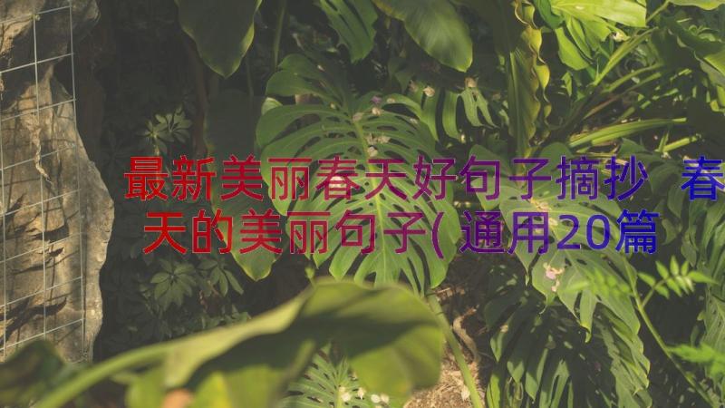 最新美丽春天好句子摘抄 春天的美丽句子(通用20篇)