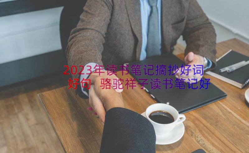 2023年读书笔记摘抄好词好句 骆驼祥子读书笔记好词好句好段摘抄(实用6篇)