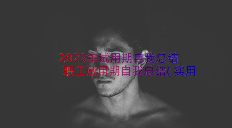 2023年试用期自我总结 职工试用期自我总结(实用10篇)