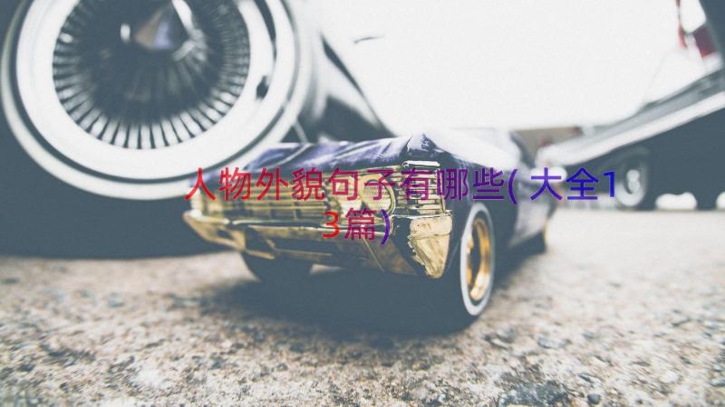 人物外貌句子有哪些(大全13篇)