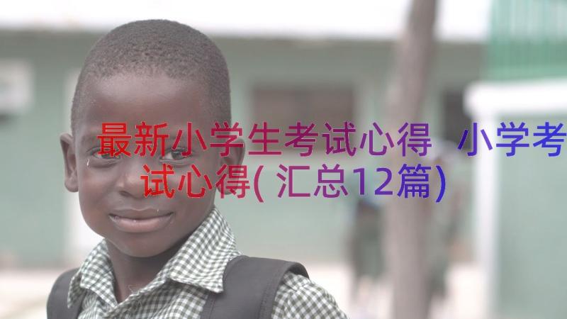 最新小学生考试心得 小学考试心得(汇总12篇)