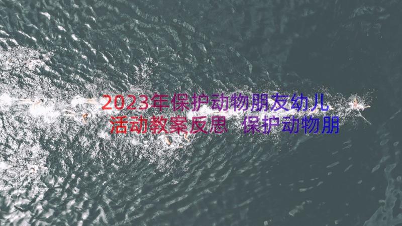 2023年保护动物朋友幼儿活动教案反思 保护动物朋友幼儿活动教案(精选8篇)