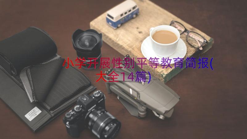 小学开展性别平等教育简报(大全14篇)