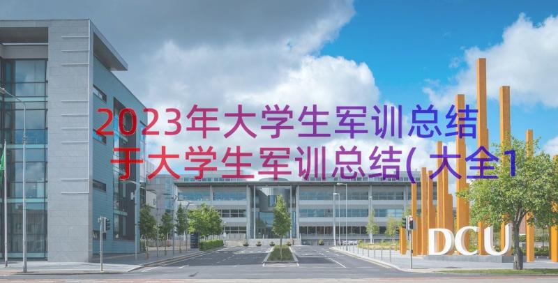 2023年大学生军训总结 于大学生军训总结(大全10篇)