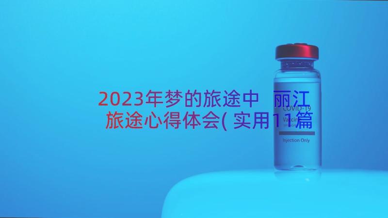 2023年梦的旅途中 丽江旅途心得体会(实用11篇)