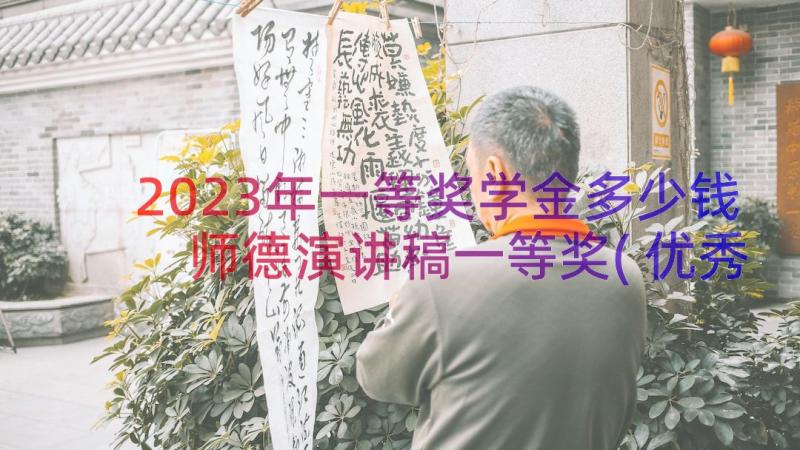 2023年一等奖学金多少钱 师德演讲稿一等奖(优秀13篇)