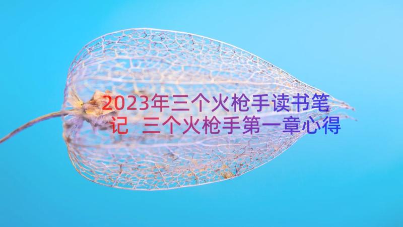 2023年三个火枪手读书笔记 三个火枪手第一章心得体会(汇总12篇)